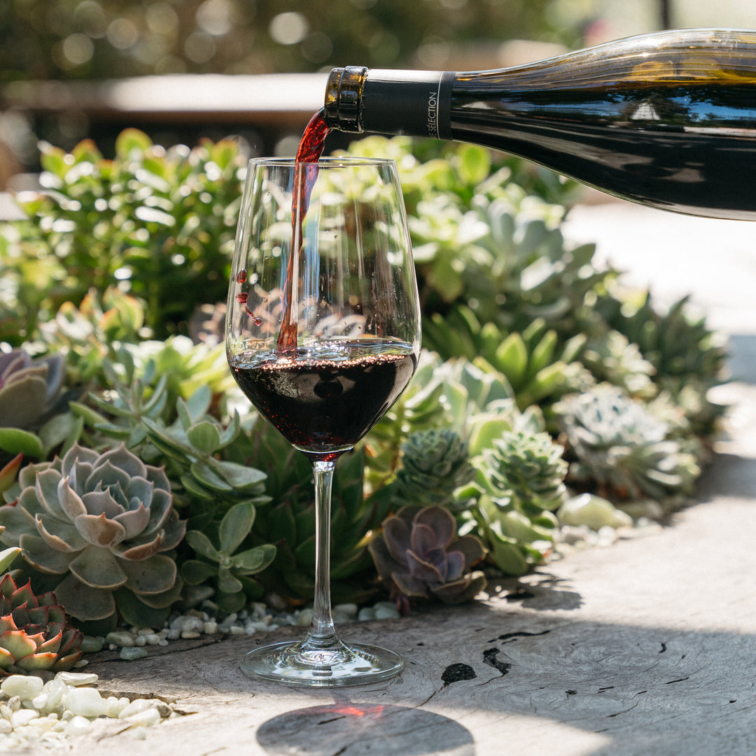 November 20th | Une Soirée Beaujolais Nouveau at Cosette